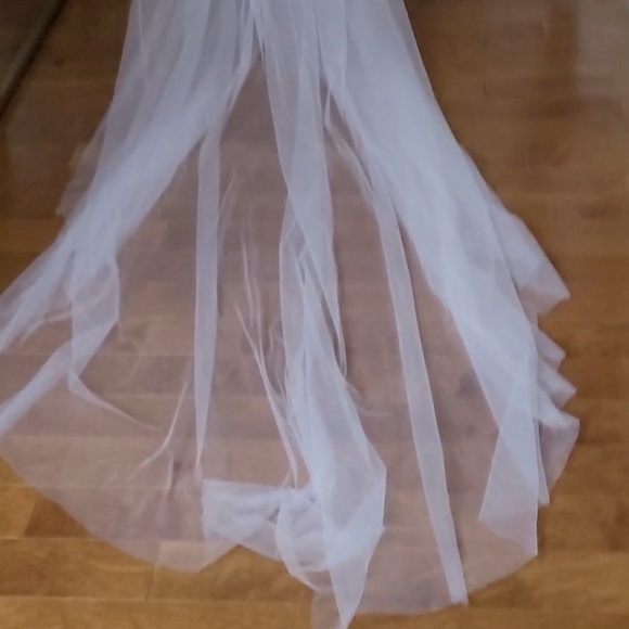 veil - Picture 5 of 5